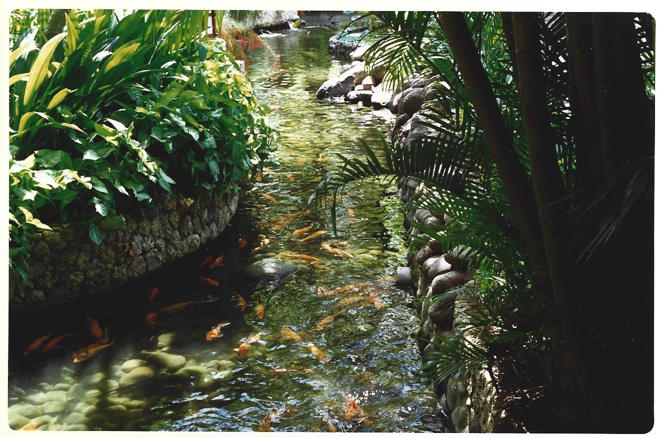 ESTANQUE BALI 1